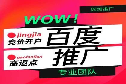 信息流广告成功案例分析
